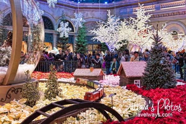 Winter Decorations at Bellagio Gardens and Conservatory