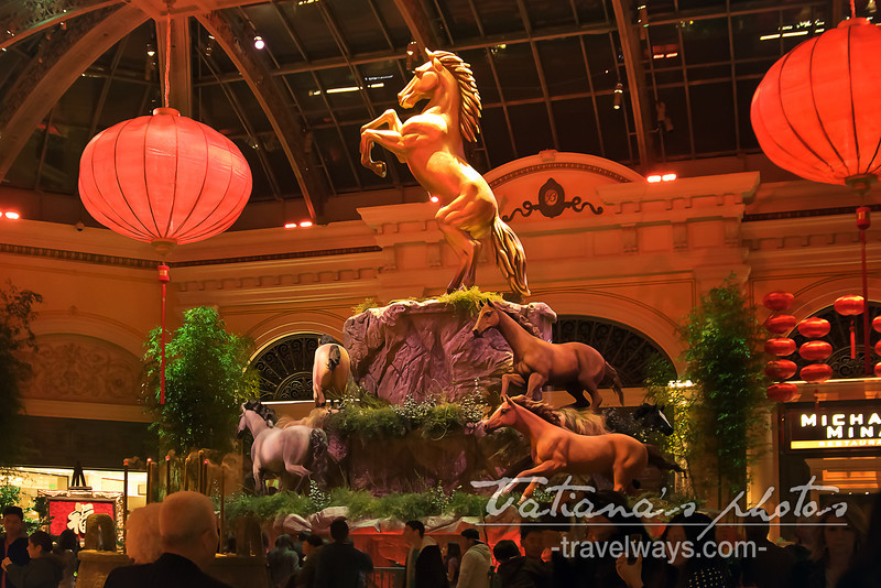 Las Vegas Chinese New Year 2014