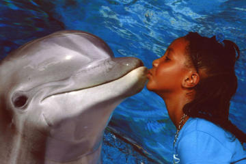 Siegfried & Roy's Secret Garden and Dolphin Habitat at the Mirage Hotel and Casino