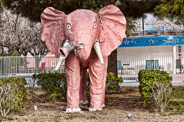 Las Vegas Pink Elephant
