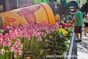 Bellagio Botanical Garden Spring, Las Vegas