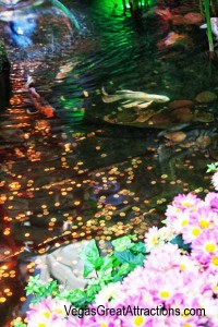 Fish pond at the Chinese New Year 2015, Bellagio, Las Vegas
