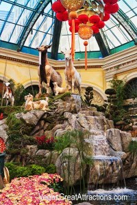 Goats display at the Chinese New Year 2015, Bellagio