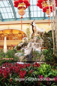 2015 Chinese New Year: Goats display at Bellagio